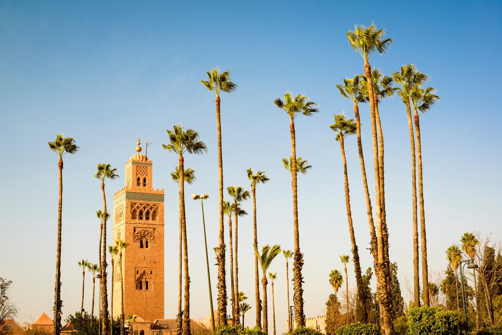 Koutoubia 2