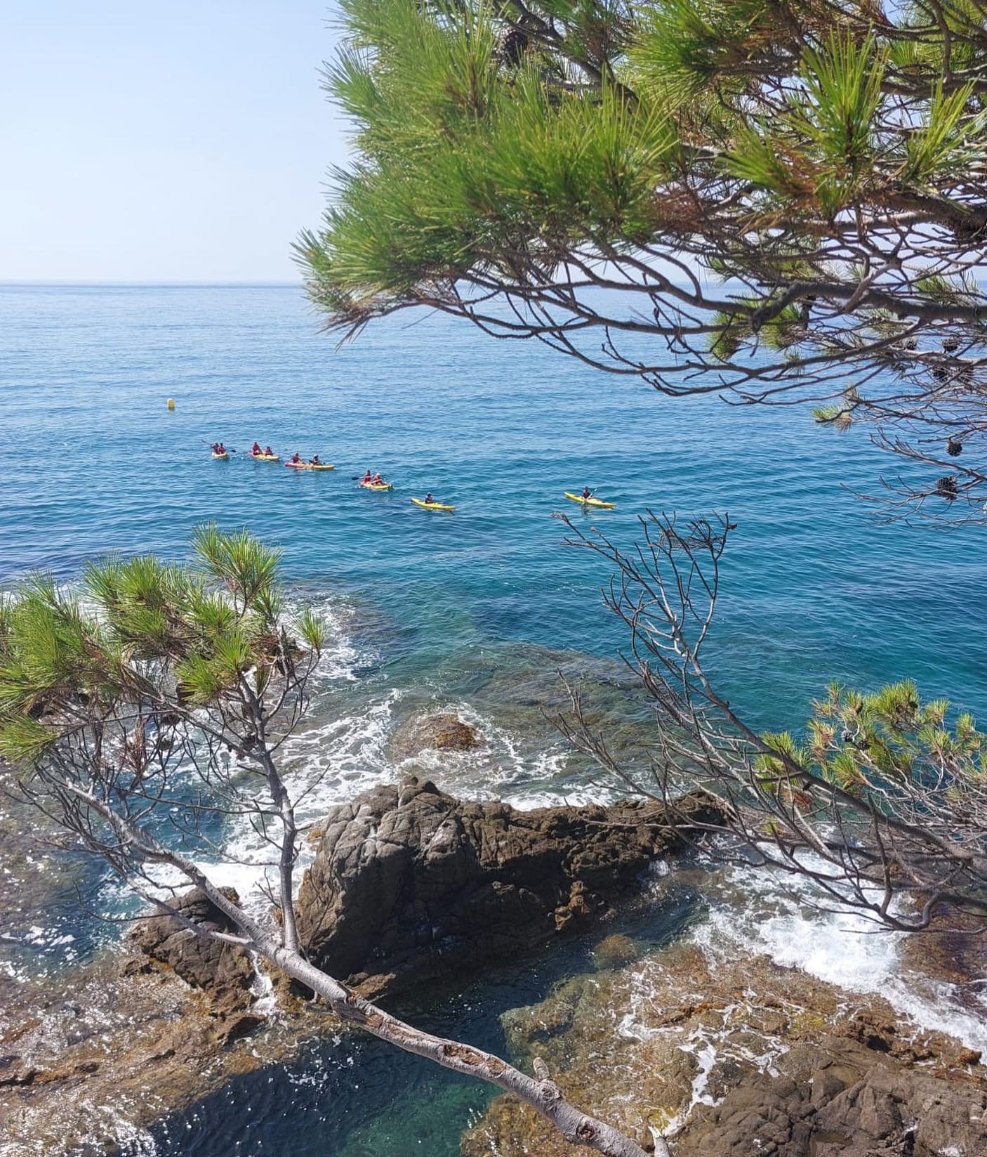 468880161_17990198195746391_7532374910204327356_n