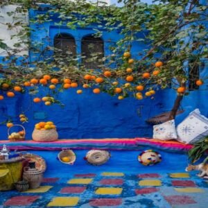 imgi_4_excursion-chefchaouen