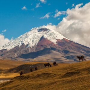 cotopaxi_traveter